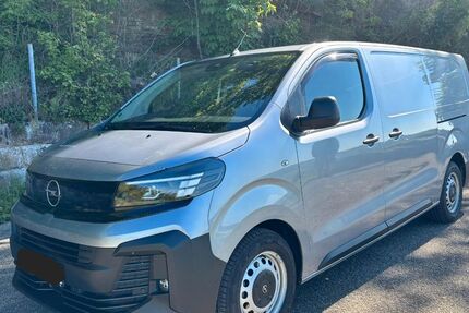 Opel Vivaro 18.000 km 29.800 &euro; Flein 74223