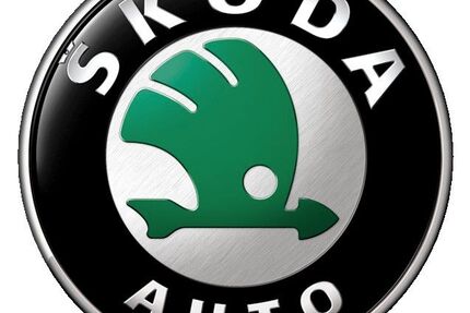 Skoda Fabia 131.000 km 4.990 &euro; Heilbronn 74078