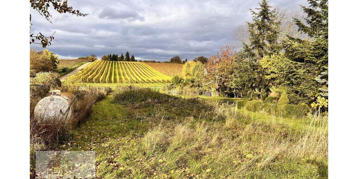Freizeitidylle pur - Ruhe, Sonne und Natur in den Weinbergen von Leingarten zimmer