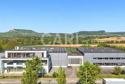 Gewerbeobjekt Erlenbach / Binswangen Binswangen - 3.249.000&euro; | Angebot:26385262