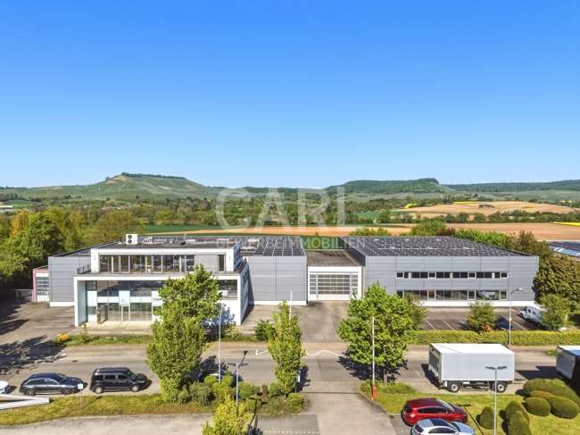 Gewerbeobjekt Erlenbach / Binswangen Binswangen - 3.249.000&euro; | Angebot:26385262
