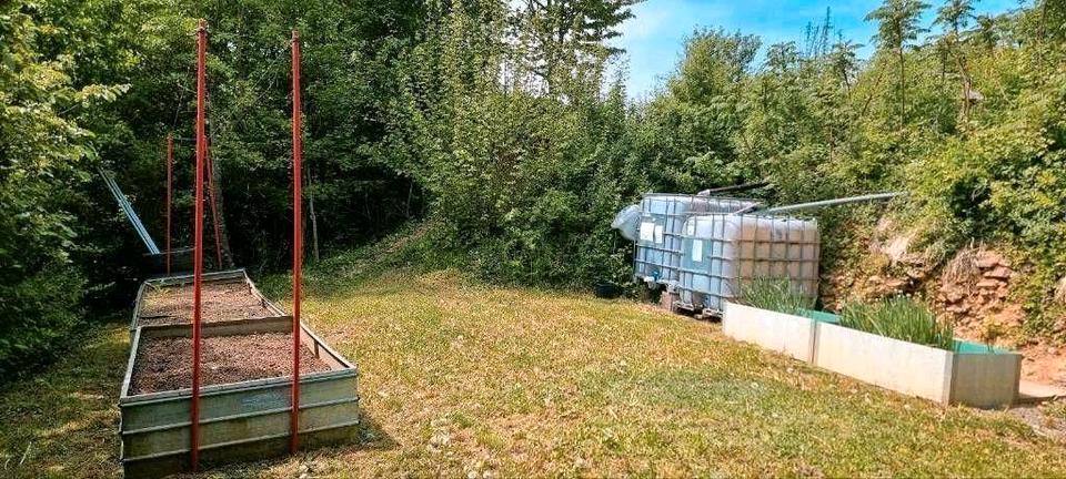 Grundstück Forchtenberg - 56.000&euro; | Angebot:26611202