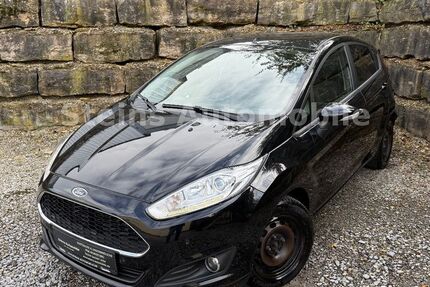 Ford Fiesta 300.000 km 3.970 € Gundelsheim 74831
