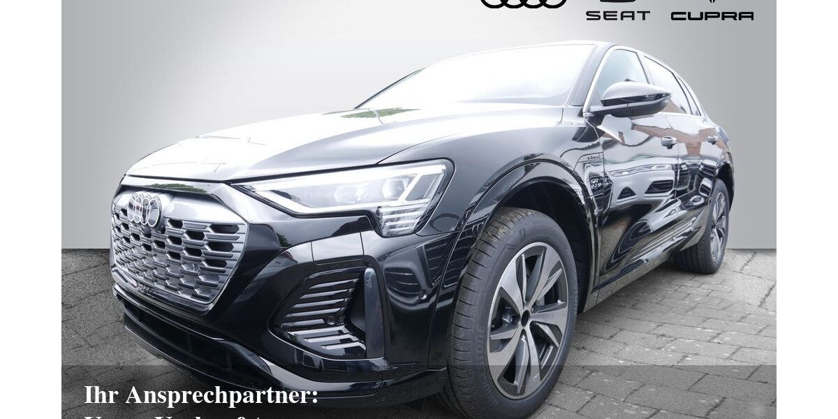Audi Q8 e-tron 12.500 km 45.880 € Bietigheim-Bissingen 74321
