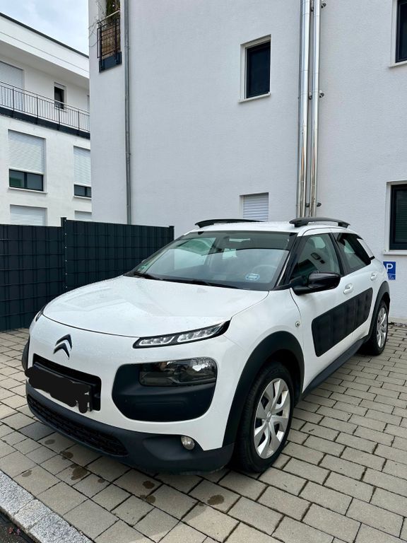 C4 Cactus