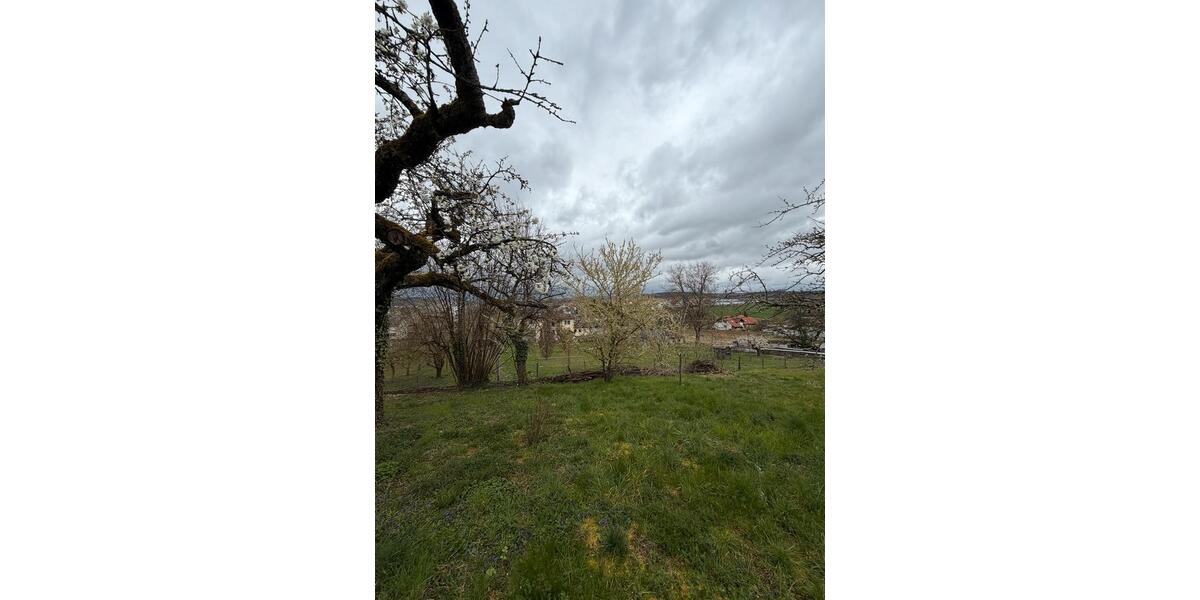 Grundstück Kirchheim am Neckar - 1.500&euro; | Angebot:26022878