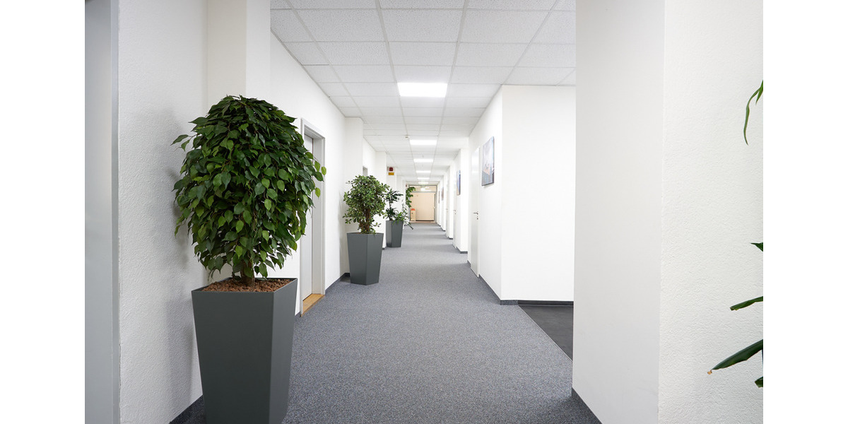 Modernes ruhiges Büro mit viel Tageslicht im 1.OG- ab 2 EURm²!* zimmer