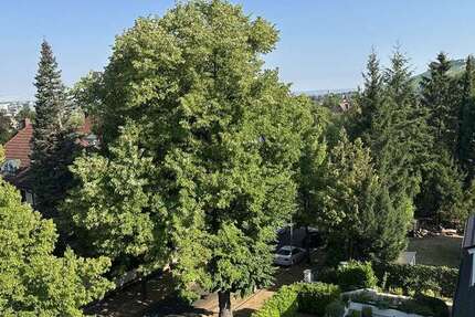 Wohnung zum Mieten in Heilbronn 1.200 € 121 m² - Wohnung Heilbronn Kernstadt | Angebot:27311373