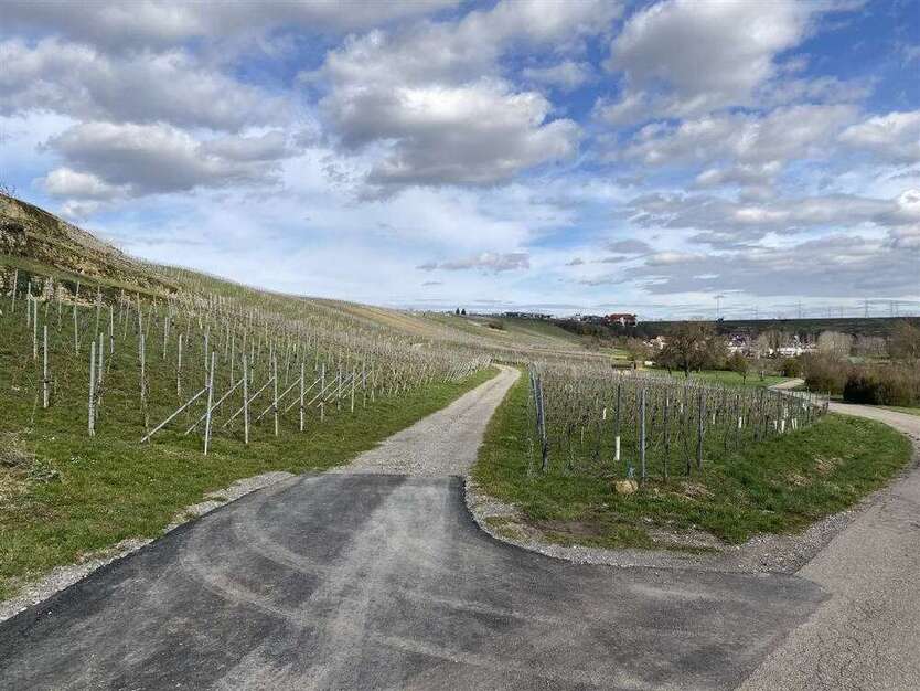 Grundstück in Bönnigheim 9.500 € 1748 m²