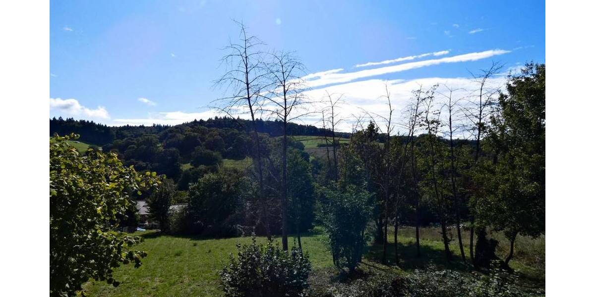 Grundstück Bad Rappenau Wollenberg Wollenberg - 140.000&euro; | Angebot:26246816