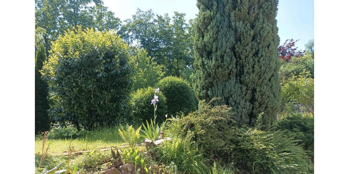 Helle Einliegerwohnung 71m² 2 zimmer