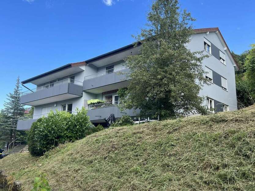 Haus zum Kaufen in Billigheim 1.649.999 € 510 m²