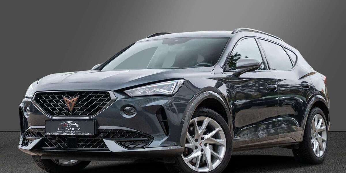 Cupra Formentor 30.000 km 29.949 € Roigheim 74255