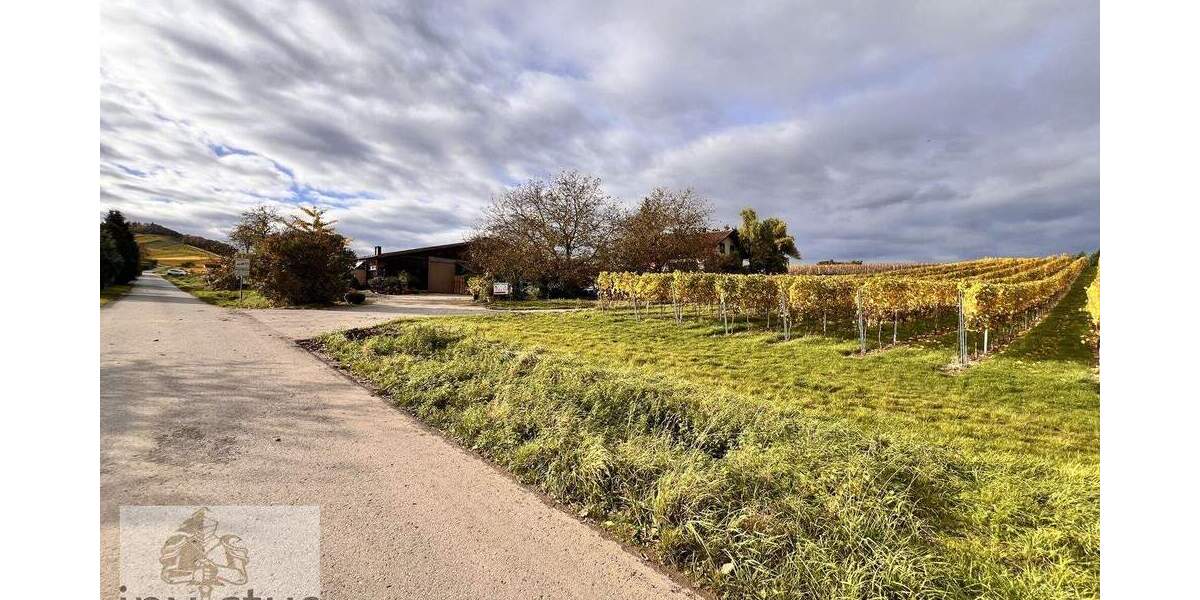 Freizeitidylle pur - Ruhe, Sonne und Natur in den Weinbergen von Leingarten zimmer