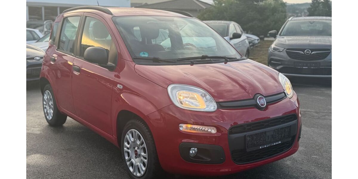 Fiat Panda 62.000 km 5.999 &euro; Gundelsheim 74831