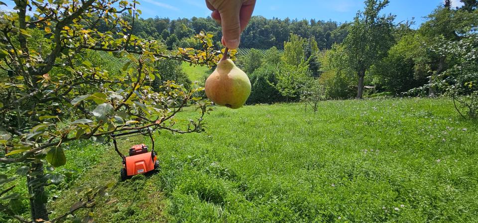 Einfamilienhaus Heilbronn Horkheim - 86.000&euro; | Angebot:20260802