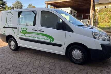 Fiat Scudo 218.720 km 5.500 € Sinsheim 74889