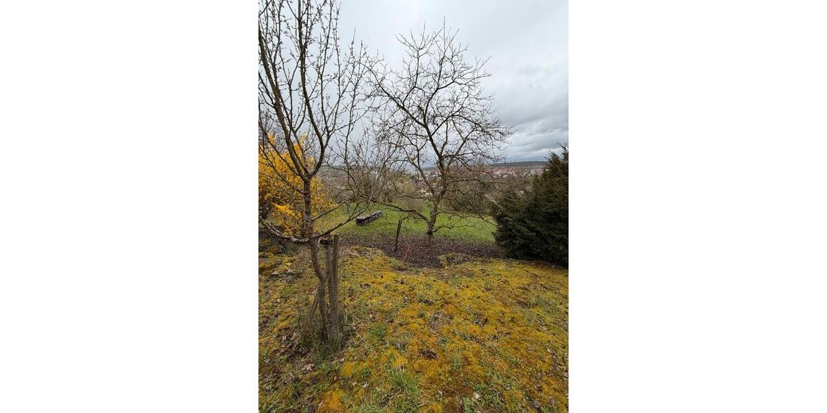 Grundstück Kirchheim am Neckar - 1.500&euro; | Angebot:26022878