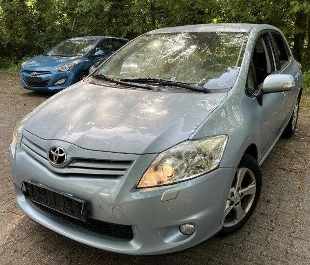 Auris