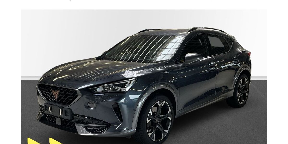 Cupra Formentor 16.930 km 33.480 &euro; Heilbronn 74076