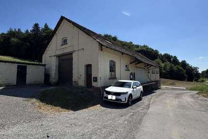 Halle in Aglasterhausen 250.000 € 200 m²
