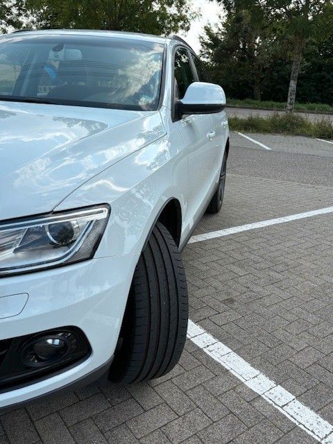 quattro