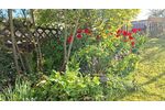 Solides Reihenmittelhaus - Einfamilienhaus Obersulm Willsbach | Angebot:26986071