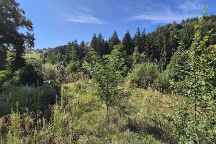 Grundstück zu verkaufen in Spiegelberg 150.000 € 1261 m² zimmer