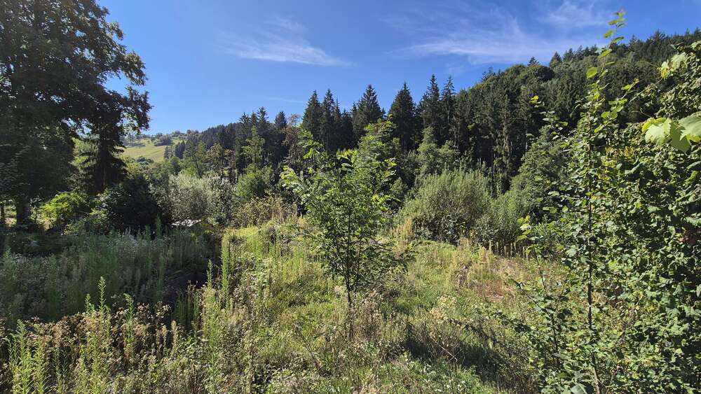 Grundstück zu verkaufen in Spiegelberg 150.000 € 1261 m² zimmer