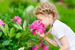 ***Individuelles Einfamilienhaus in Gemmrigheim - Ihr persönliches Traumhaus*** - Einfamilienhaus Gemmrigheim | Angebot:27649335