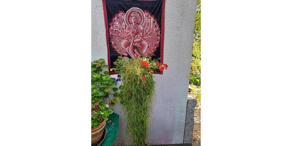 Einfamilienhaus Bietigheim-Bissingen Bissingen - 5 Zimmer, 128 m&sup2;, 749.000&euro; | Angebot:26373121