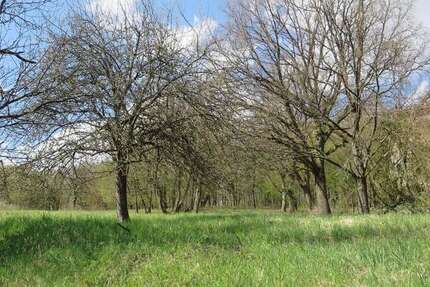 Grundstück zu verkaufen in Obrigheim 100.000 € 2469 m² zimmer