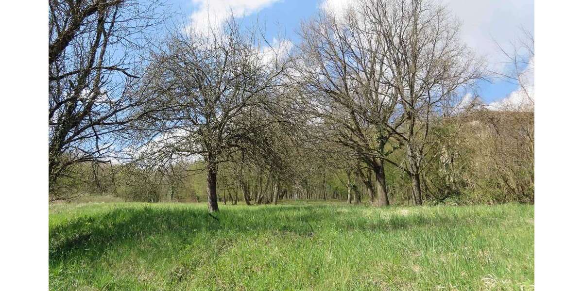 Grundstück zu verkaufen in Obrigheim 100.000 € 2469 m² zimmer