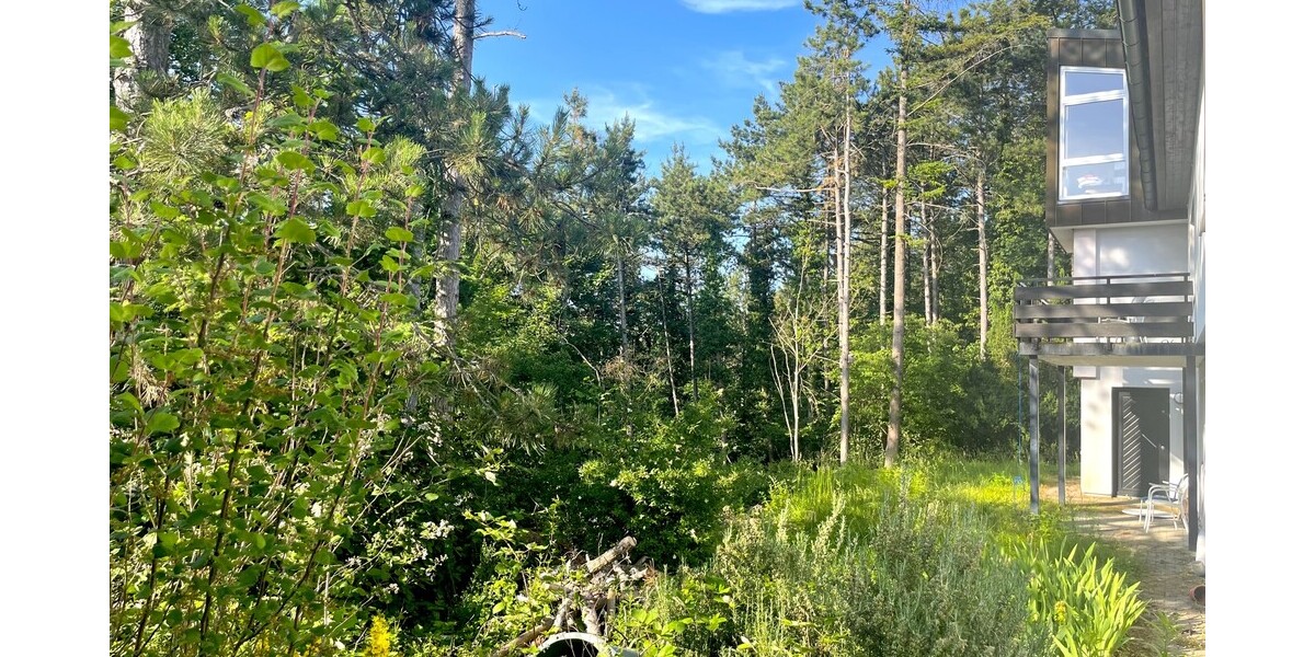 Naturnah: Traumhaus in Aussichtslage von Mosbach - Zweifamilienhaus Mosbach | Angebot:25904161