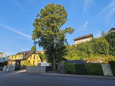 VIELSEITIGER RAUM FÜR LEBEN UND ARBEIT IN TOP-LAGE - Grundstück Steinheim an der Murr | Angebot:26714920