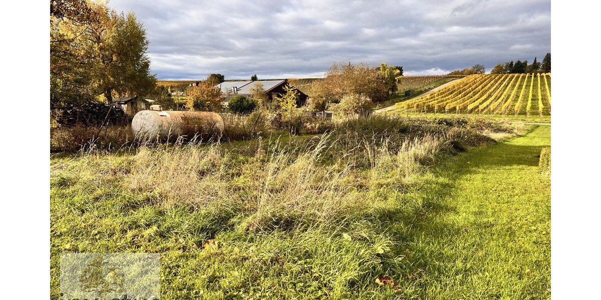 Freizeitidylle pur – Ruhe, Sonne und Natur in den Weinbergen von Leingarten zimmer