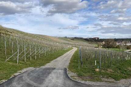 Grundstück Bönnigheim - 9.500&euro; | Angebot:24897663