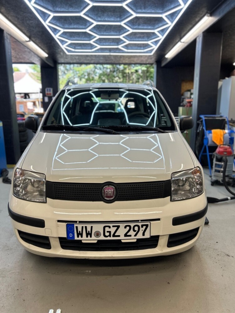 Panda