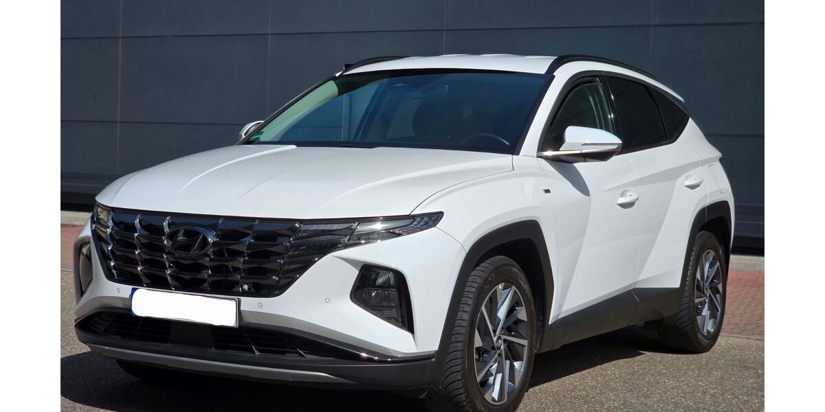 Hyundai TUCSON 69.200 km 22.200 &euro; Waibstadt 74915