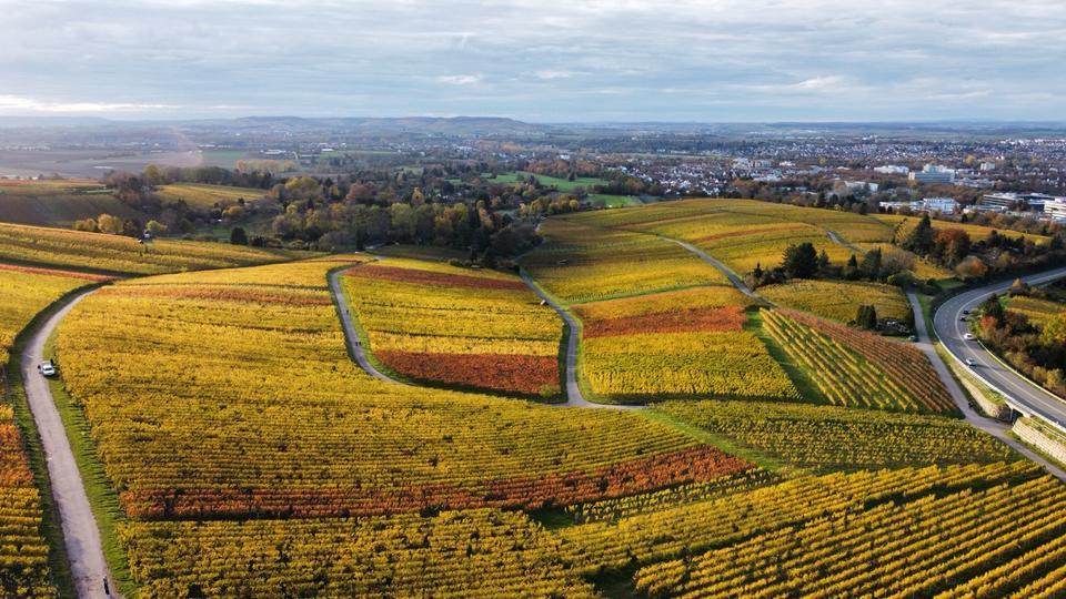 Möblierte 2 Zimmer-Wohnung in HN-Sontheim 2 zimmer