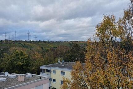 Penthouse-Flair am Neckar: 1,5-Zimmer mit 2 XXL Balkonen 1 zimmer