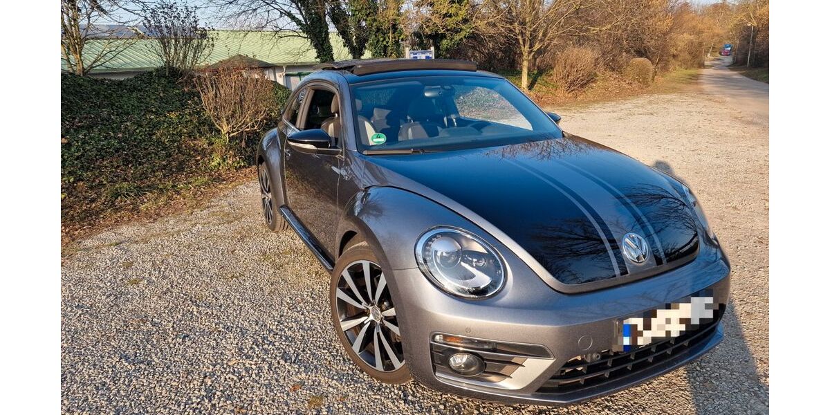 VW Beetle 64.000 km 21.000 &euro; Ludwigsburg 71636