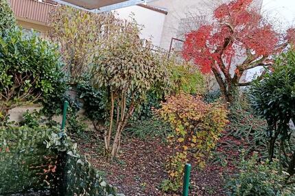 3 Zimmer Wohnung Garten Garage, ab 1.12.2025 Marbah Tannenweg zimmer