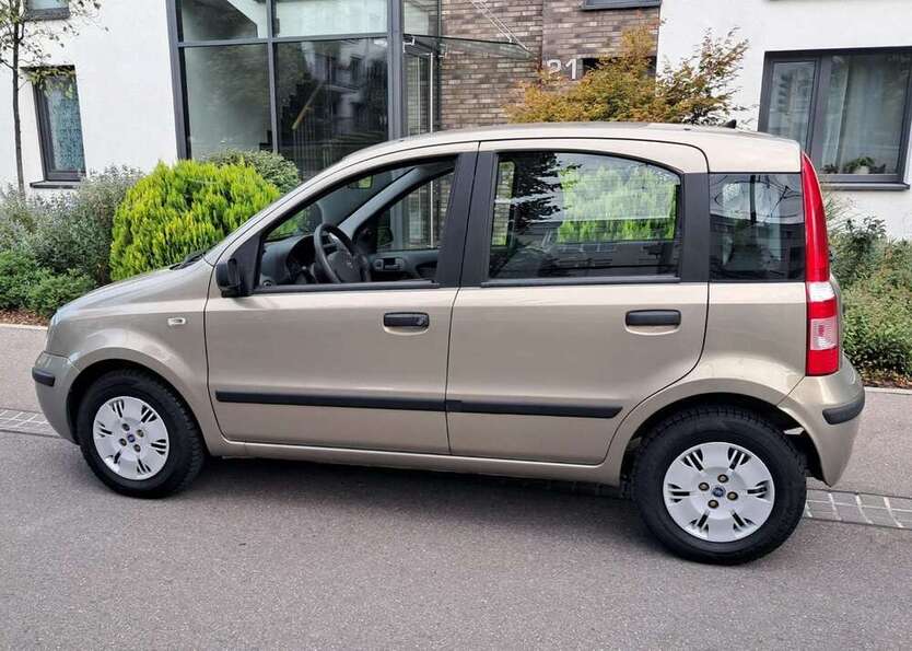Panda