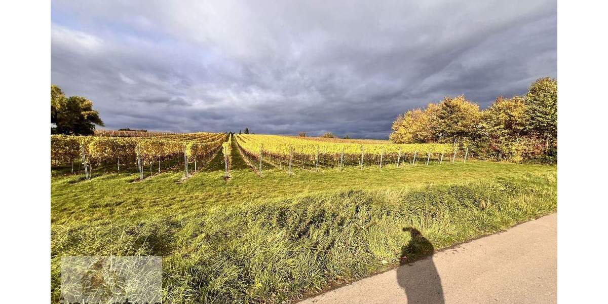 Freizeitidylle pur - Ruhe, Sonne und Natur in den Weinbergen von Leingarten zimmer