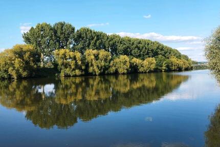 Wohnung Heilbronn Horkheim - 3 Zimmer, 1.000&euro; | Angebot:22911914