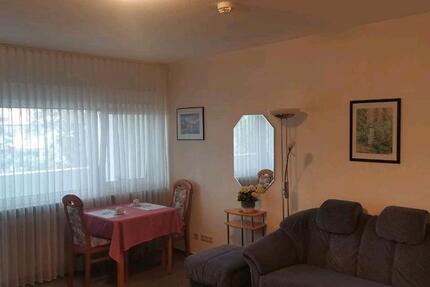 Wohnung Bad Rappenau - 1 Zimmer, 33 m&sup2;, 500&euro; | Angebot:25517086