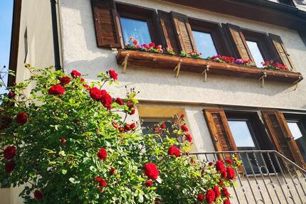 Haus Ingersheim - 3.5 Zimmer, 81 m&sup2;, 1.050&euro; | Angebot:25432479