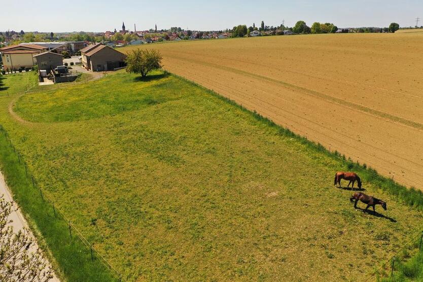 Modernisierter Aussiedlerhof mit Pferdestall, Wiese und Werkstat zimmer