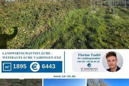 Grundstück Vaihingen an der Enz Vaihingen - 5.900&euro; | Angebot:25708063